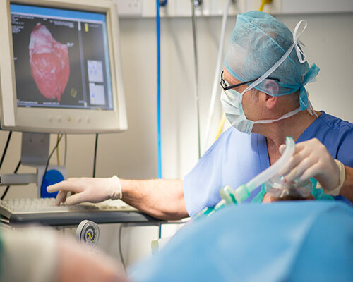 Cardiology